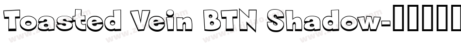 Toasted Vein BTN Shadow字体转换